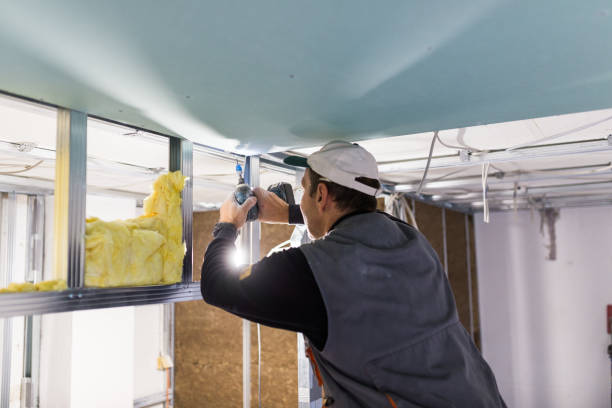 Best Insulation Replacement Services  in Canal Winchester, OH