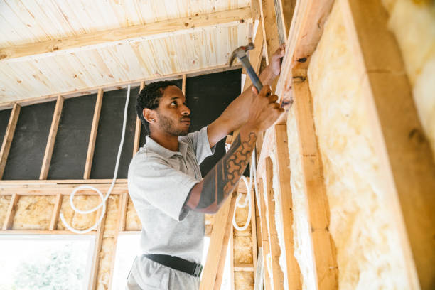 Best Attic Insulation Installation  in Canal Winchester, OH