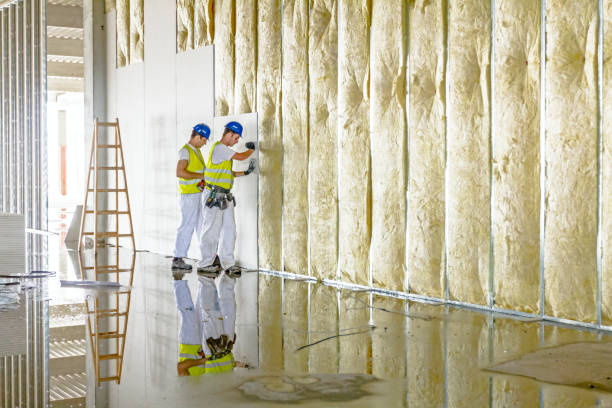 Best Energy-efficient Insulation  in Canal Winchester, OH